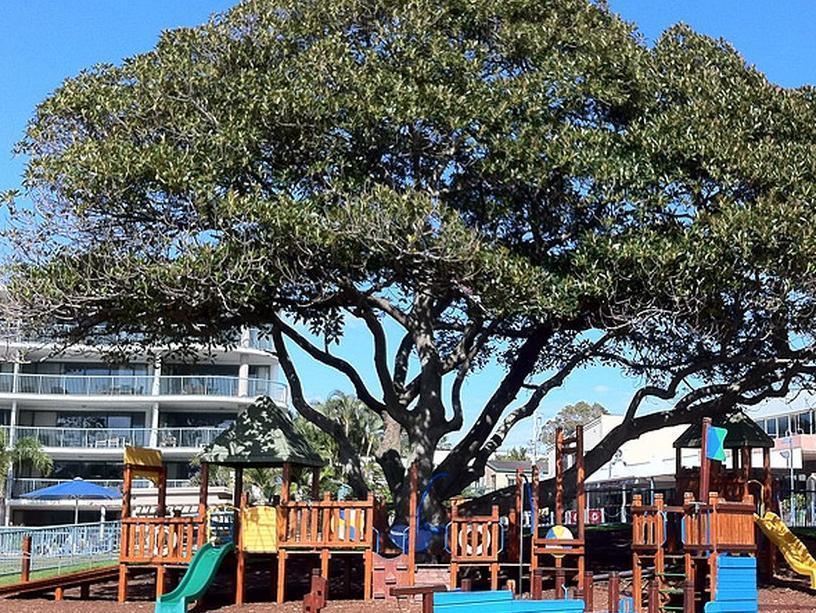 Moffat Beach Motel Caloundra Zewnętrze zdjęcie